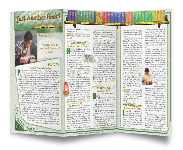 My Bible First Junior/Teen Bible Lessons - Yr A - Qtr 1