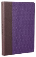 Large Print Thinline KJV Bible - Purple/Brown